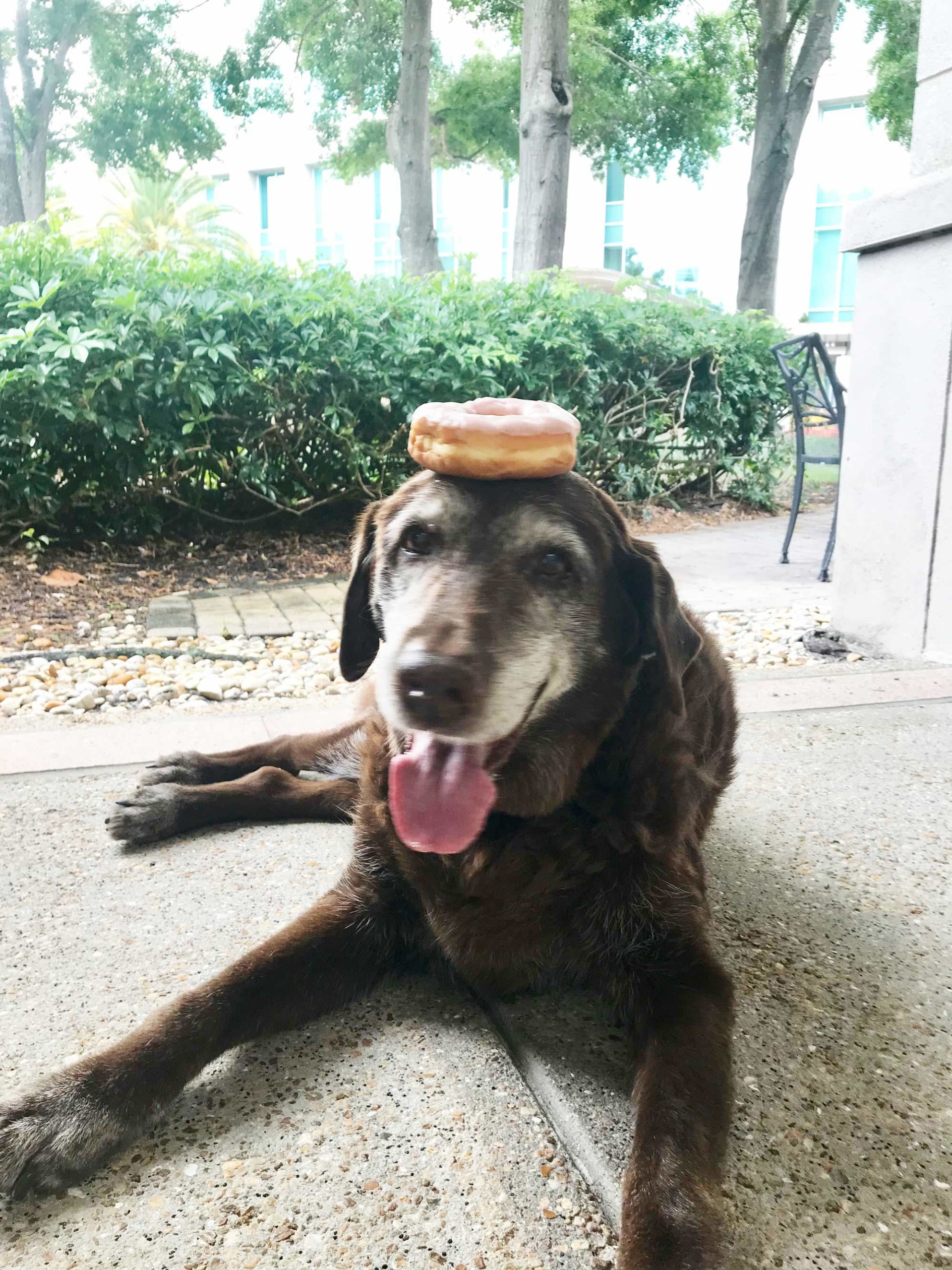 National Doughnut Day | Jaz with a doughnut on her head