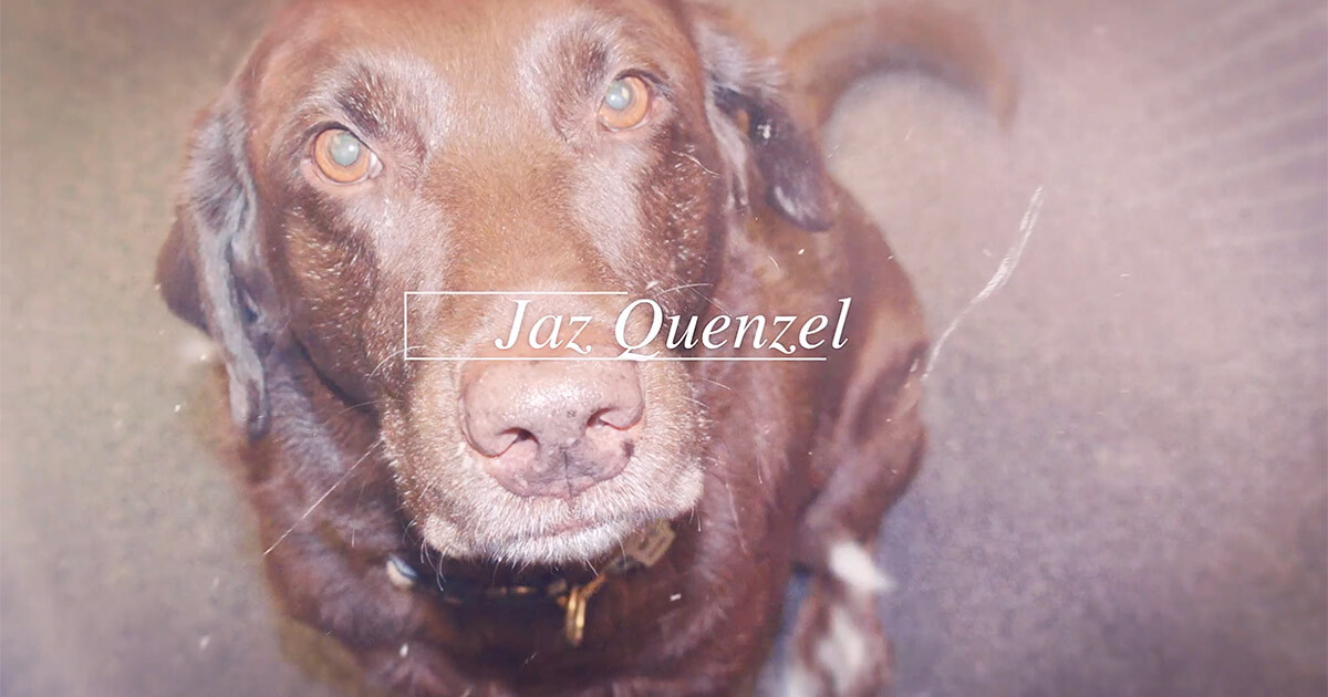 Jaz Quenzel- Customer Loyalty Expert